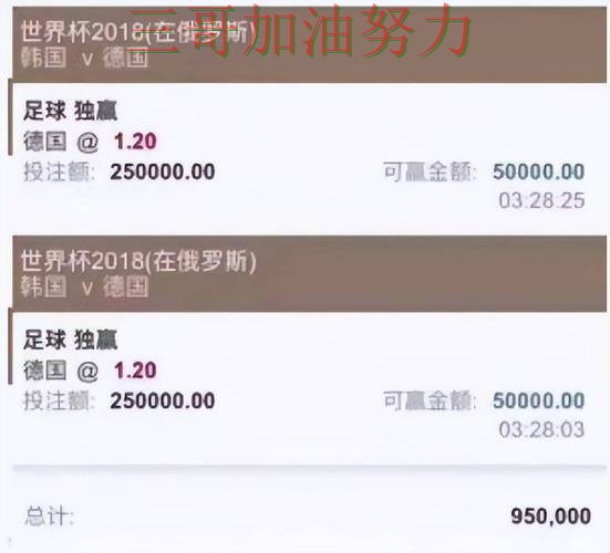 世界杯官方信息来临，世界杯投注平台速度测试+直播与平台选择精选